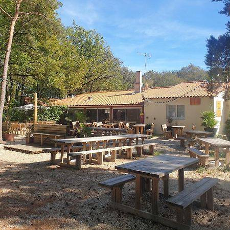 Mobilhome Proche Puy Dufou La Boissiere-de-Montaigu Bagian luar foto